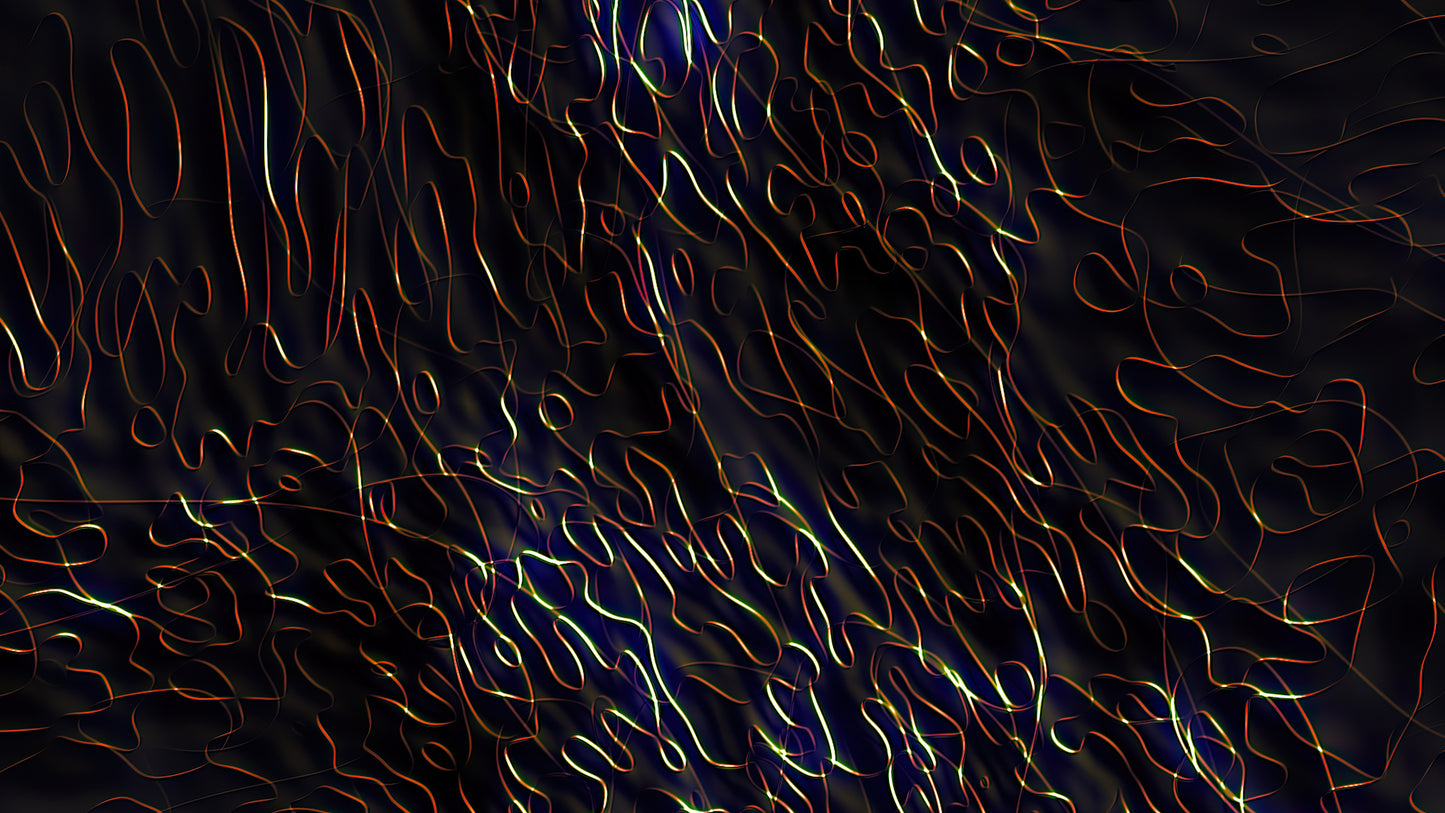 LOOP 024/G