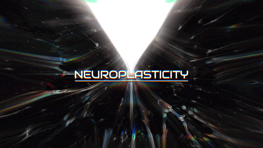 NEUROPLASTICITY
