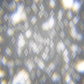 LOOP 073/L