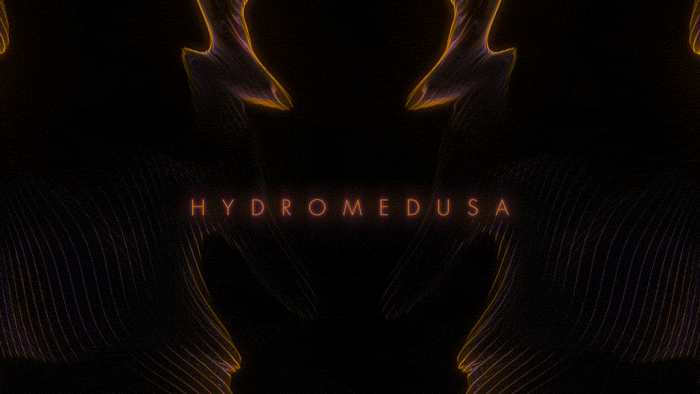 HYDROMEDUSA